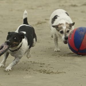 Meet your Posher, Michele